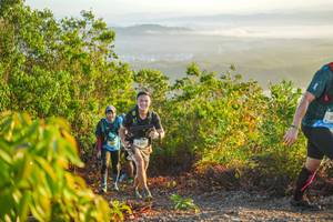 BIB: 2260
                            <button type="button" onclick="openModal(21874894)" class="btn btn-primary btn-sm float-right btn-popup" data-toggle="modal" data-target=".modal-high-quality">
                        <i class="fas fa-shopping-cart"></i> Add to Cart
                    </button>
                                            <button type="button" onclick="isThisMe(21874894, true)" class="btn btn-success btn-sm float-right btn-popup btn-isme hidden" data-toggle="tooltip" data-placement="bottom" title="นี่คือรูปของคุณใช่ไหม คลิกที่นี่เพื่อเอาเข้าอัลบั้ม">
                        <i class="fas fa-plus"></i> Add to album
                    </button>
                    <button type="button" onclick="isThisMe(21874894, false)" class="btn btn-warning btn-sm float-right btn-popup btn-isnotme hidden">
                        <i class="fas fa-ban"></i> Remove from album
                    </button>